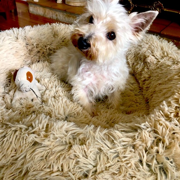 Meet your Posher, Patricia, aka ReillyDarby ๐ฉท - Picture 4 of 9